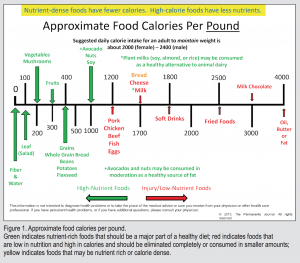 Figure 1: Approximate Food Calories Per Pound